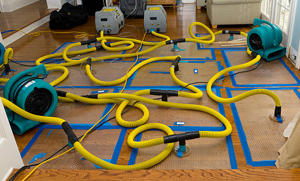 Professional Structural Drying And Dehumidification technician working in Fountain City, IN